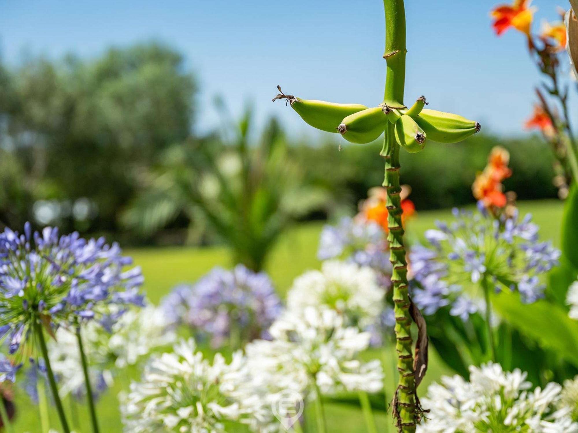 Maracalagonis Tanca De Mar 아파트 외부 사진