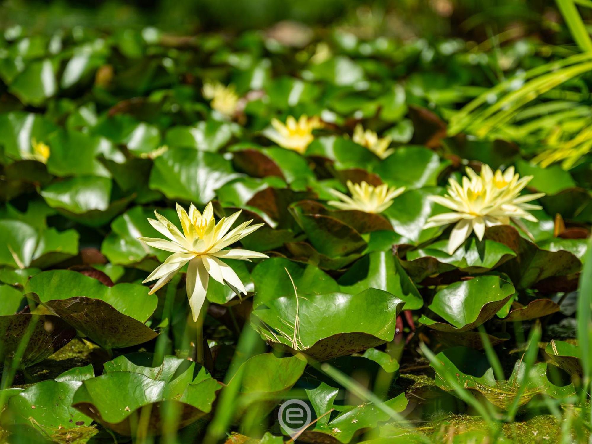 Maracalagonis Tanca De Mar 아파트 외부 사진